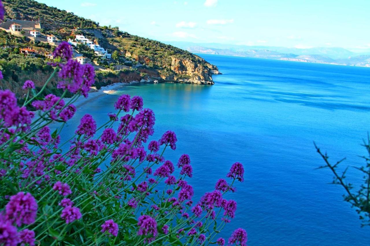 Blue Sky Studios Xiropigado Dış mekan fotoğraf